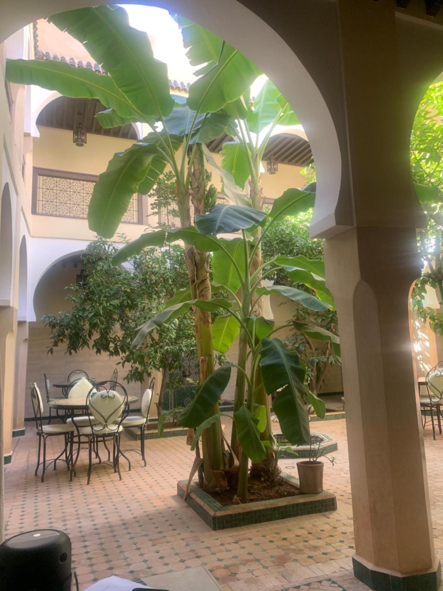 Riad Tidar By Phoenix Marrakesch Exterior foto