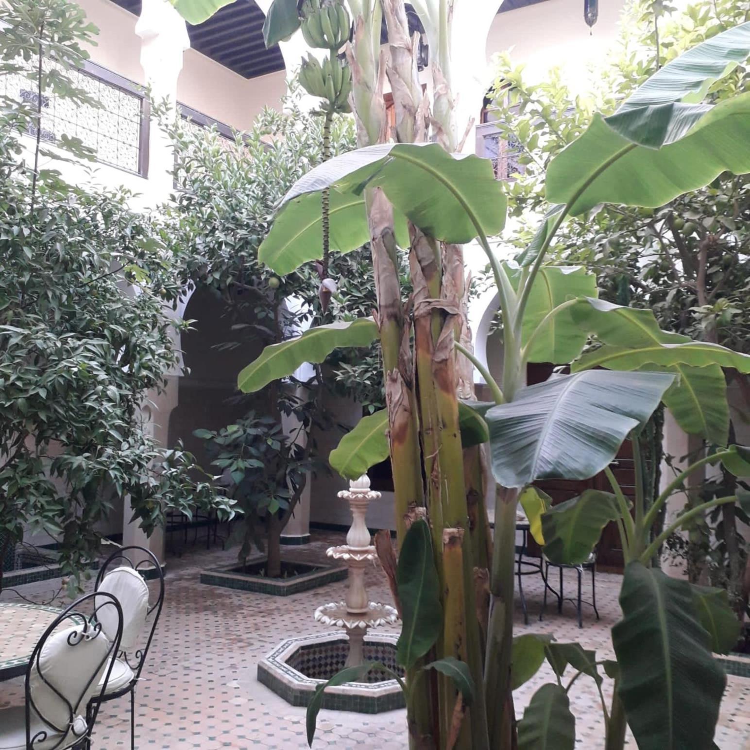 Riad Tidar By Phoenix Marrakesch Exterior foto