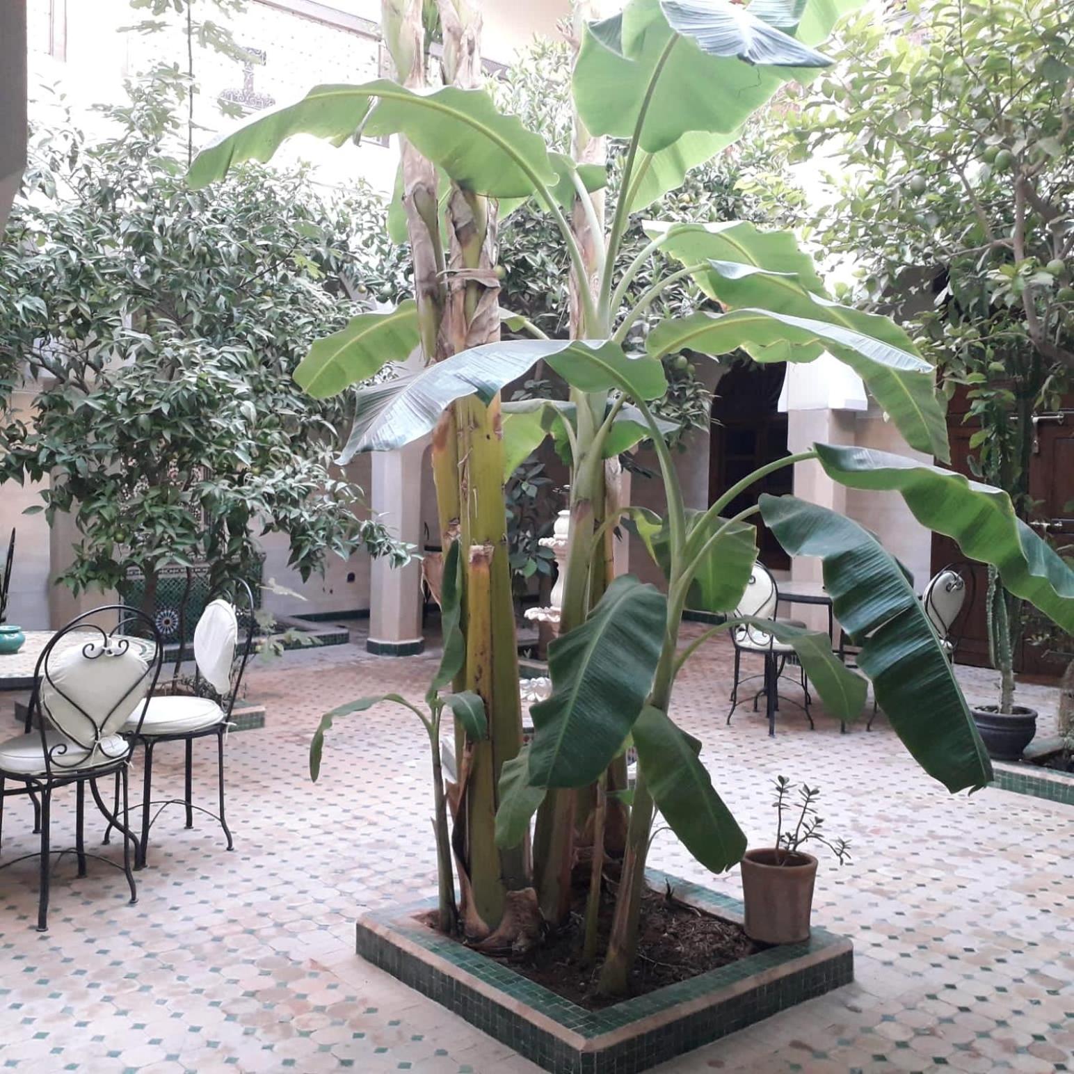 Riad Tidar By Phoenix Marrakesch Exterior foto
